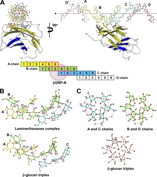 FIGURE 2.