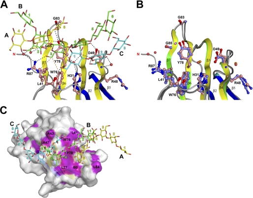 FIGURE 3.