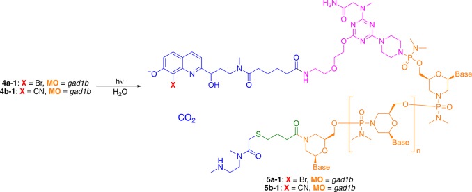 Scheme 4