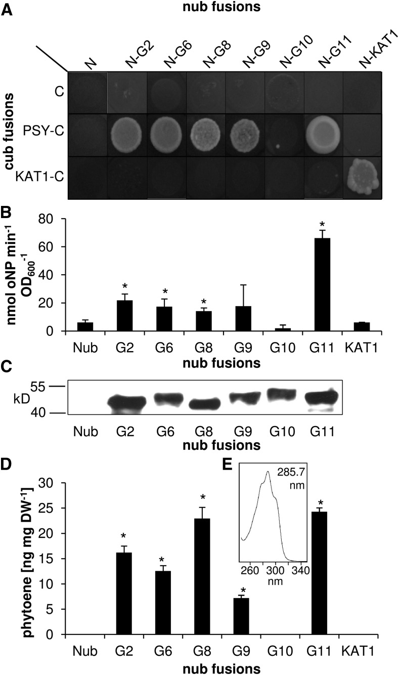 Figure 2.