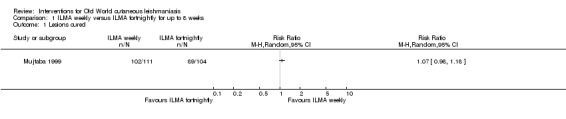 Analysis 1.1