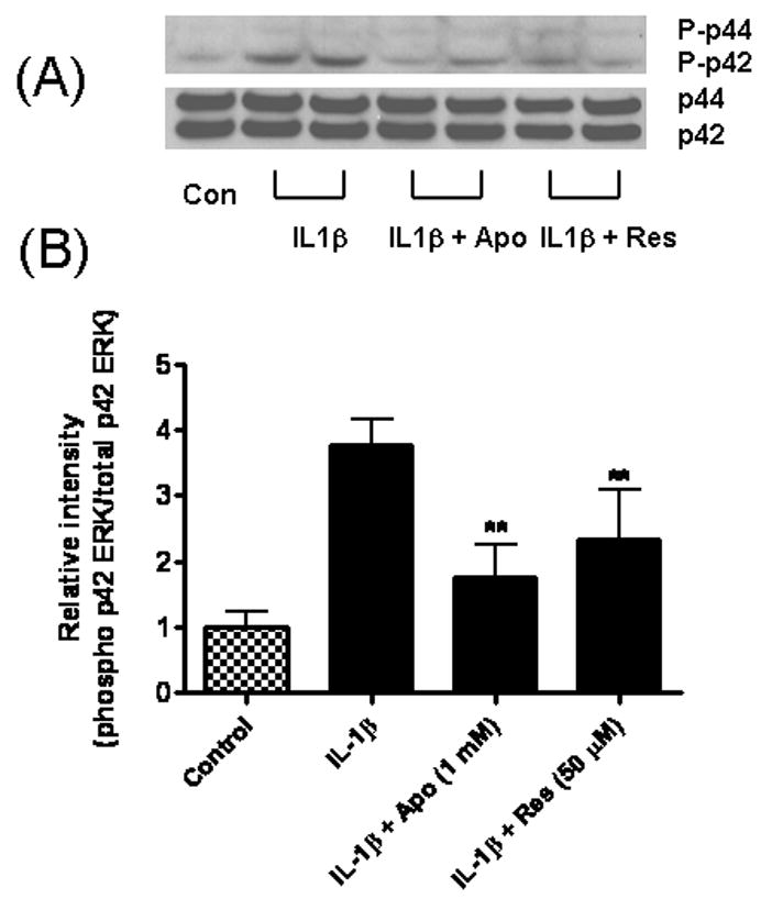 Fig 8