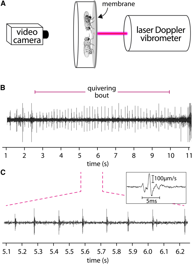 Figure 3