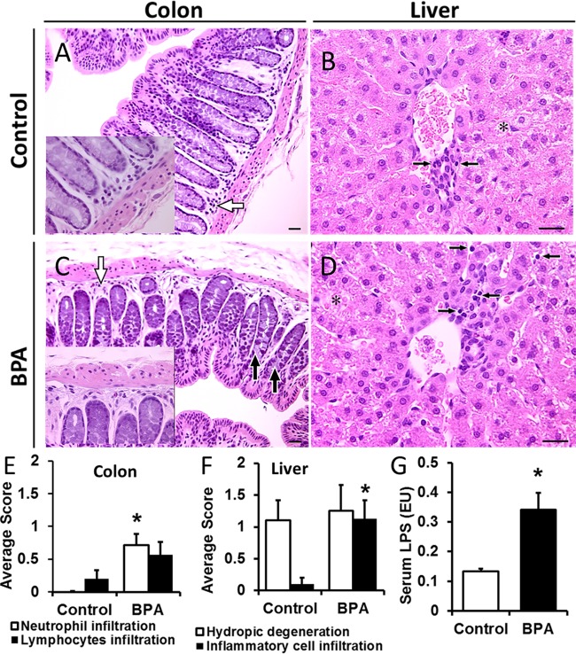 FIG 1 