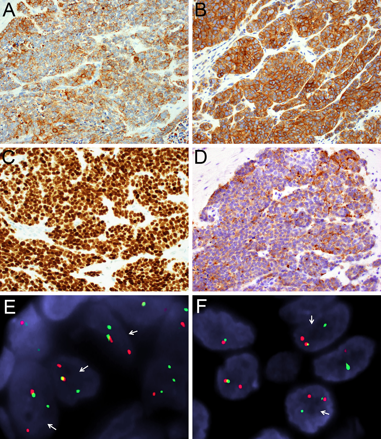 Figure 3: