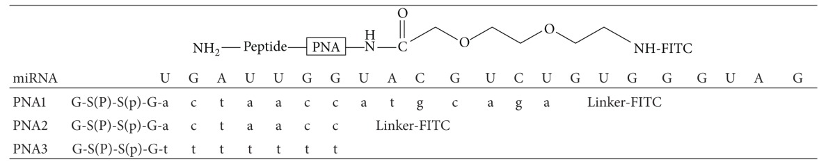 graphic file with name BMRI2014-610718.tab.001.jpg