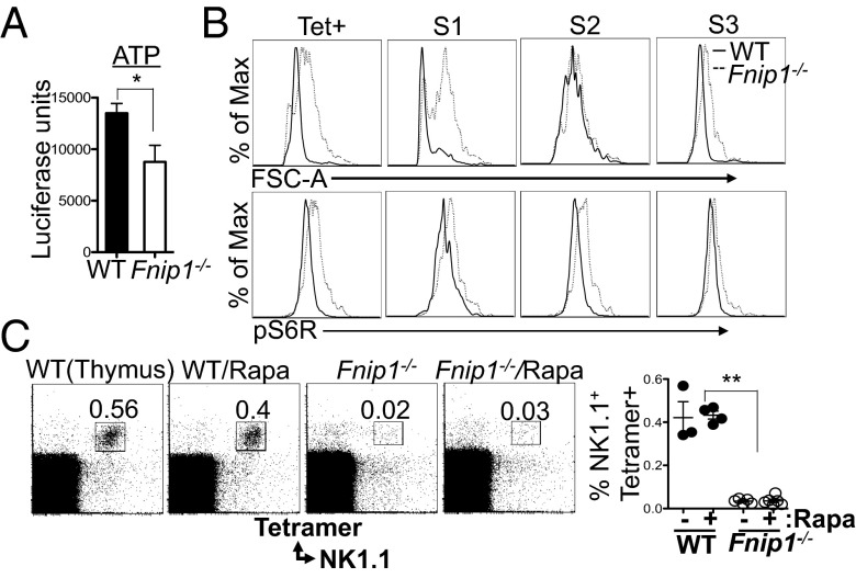 Fig. 6.