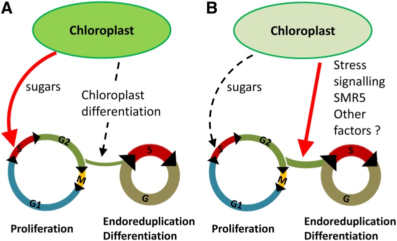 Figure 10.