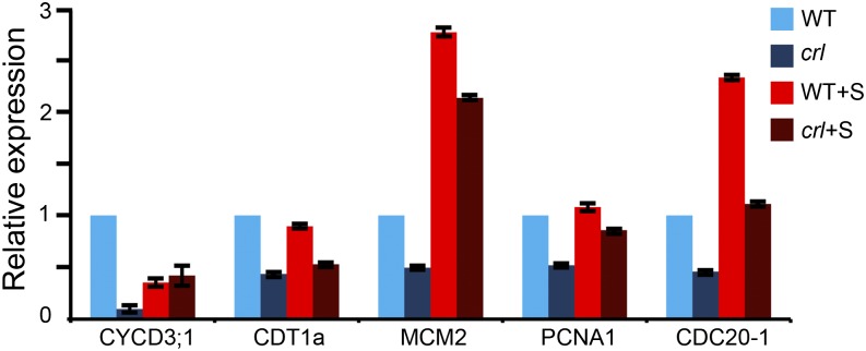 Figure 2.