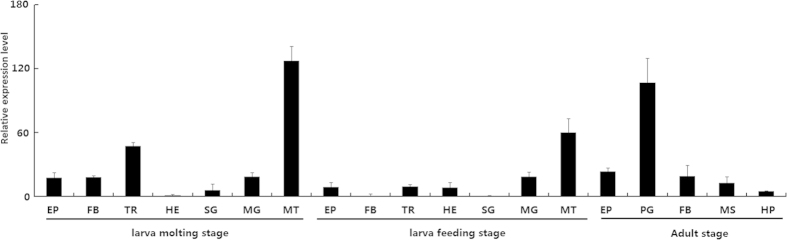 Figure 5