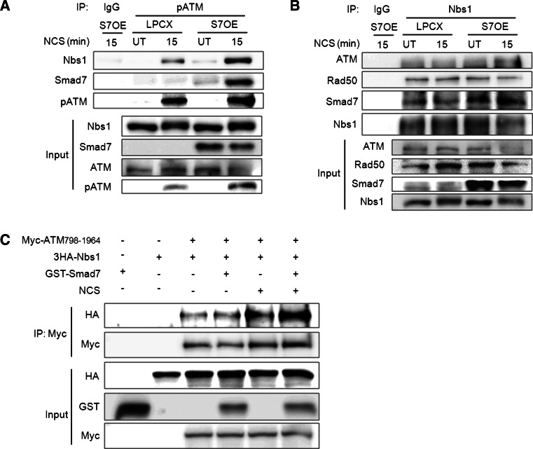 Fig. 4