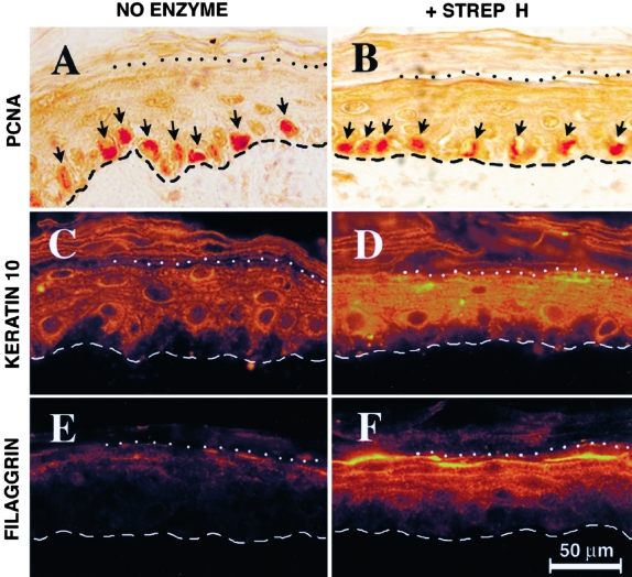 Figure 5-4256