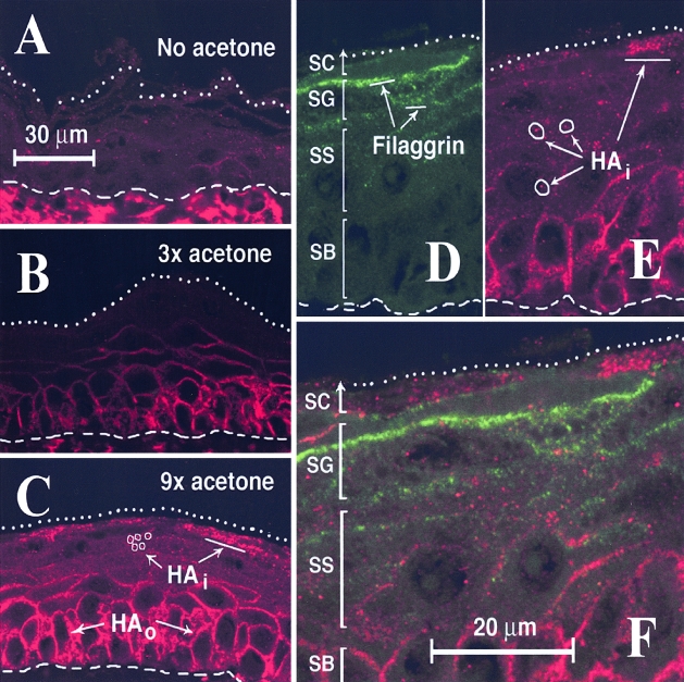 Figure 2-4256