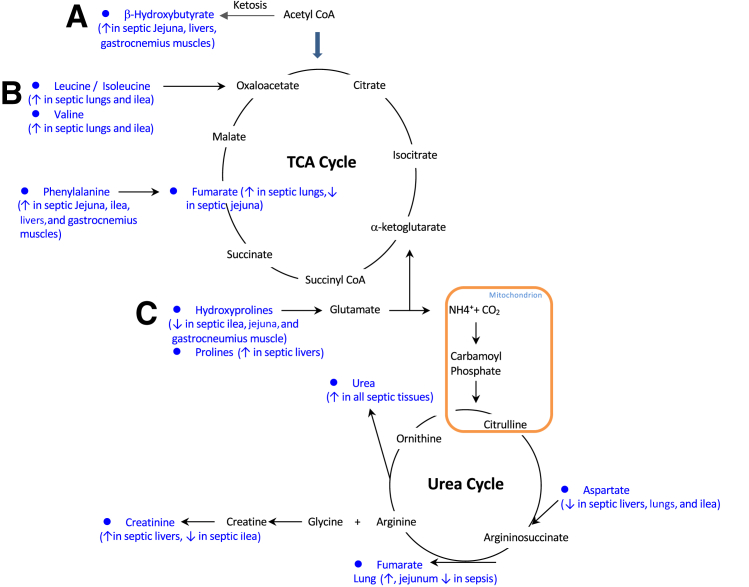 Figure 6