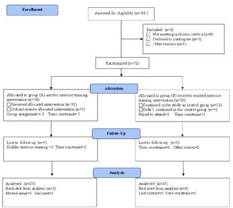 Figure (1):