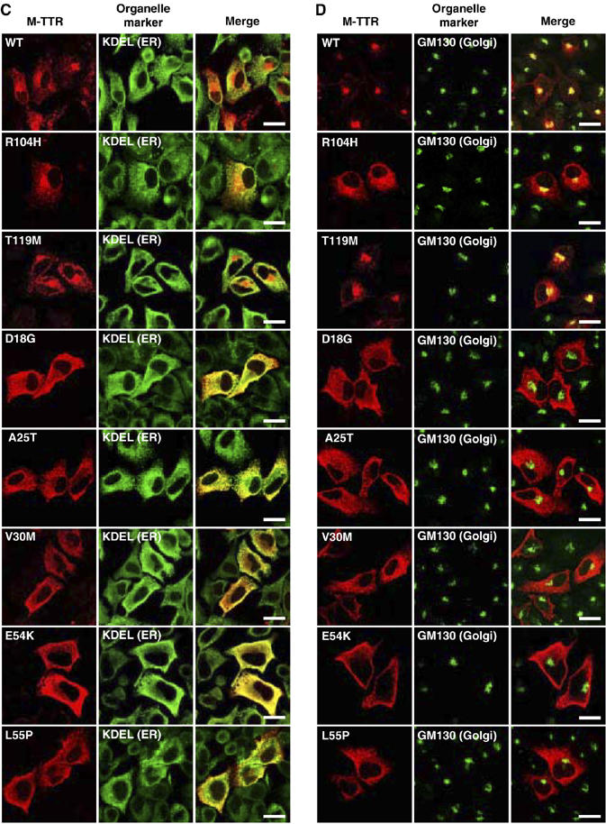 Figure 3cd