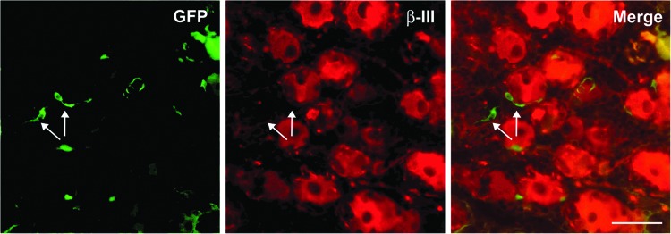 FIG. 7.