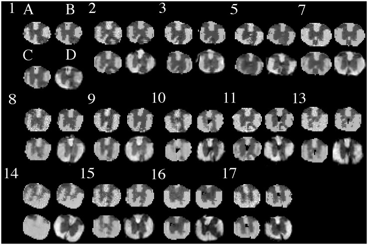 Fig 6