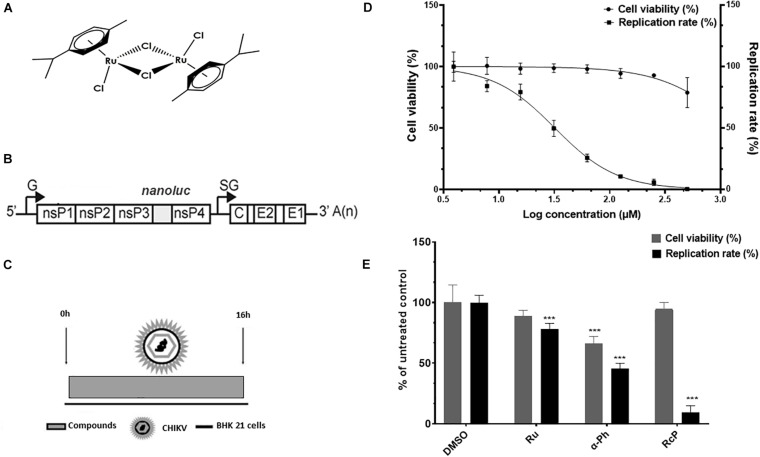 FIGURE 1