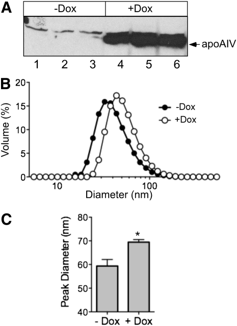 Fig. 5.