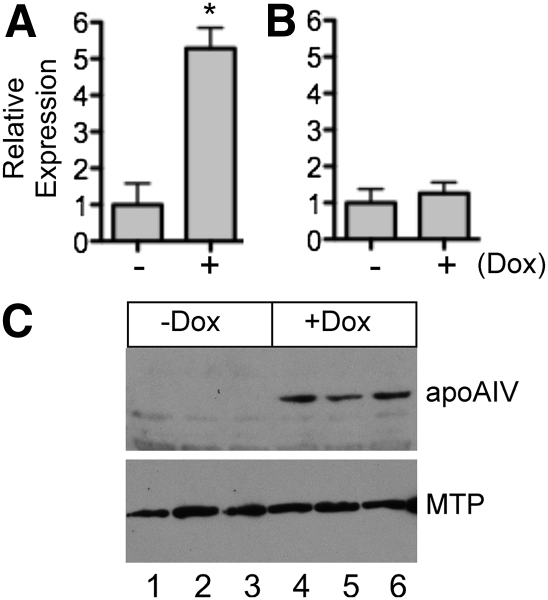 Fig. 6.