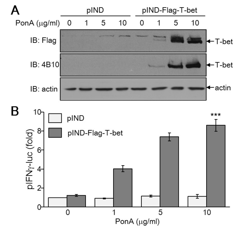 Figure 5