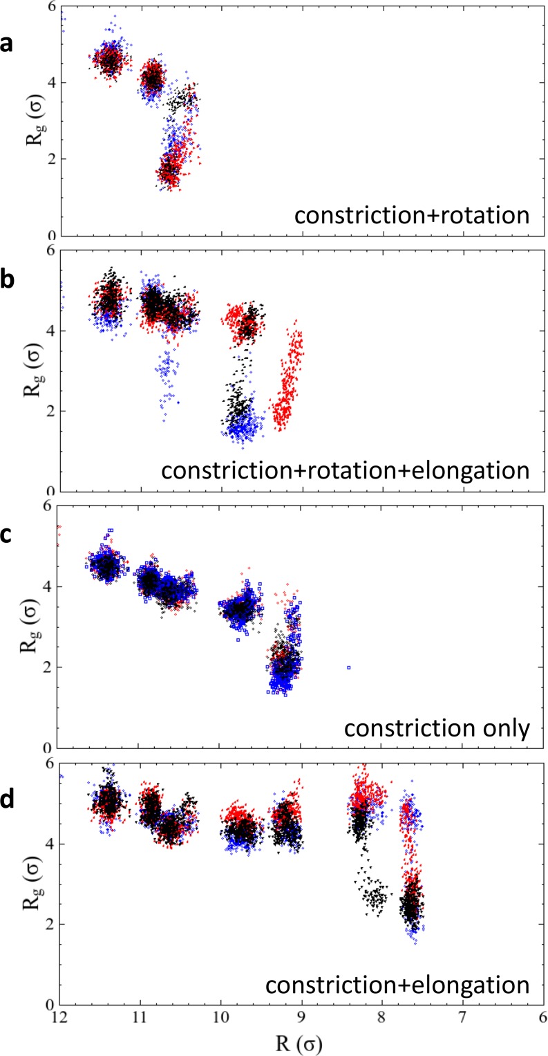 Figure 2—figure supplement 1.