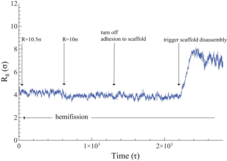 Figure 3.