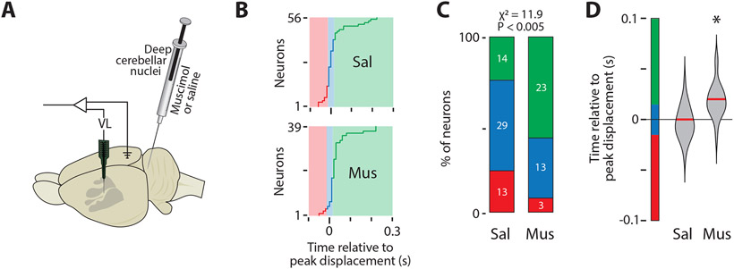 Figure 5: