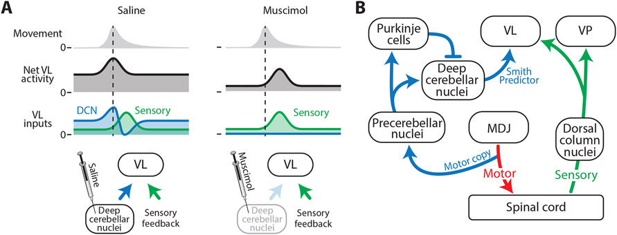 Figure 6: