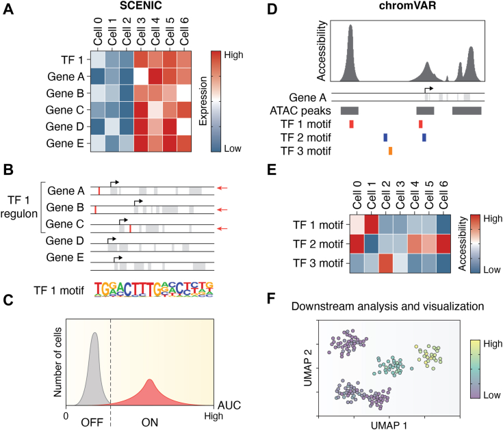 Figure 3