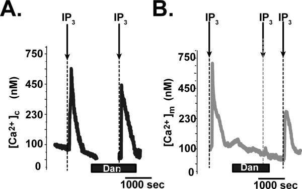 Fig.1