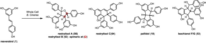 Scheme 9