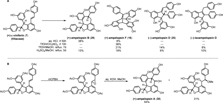 Scheme 5