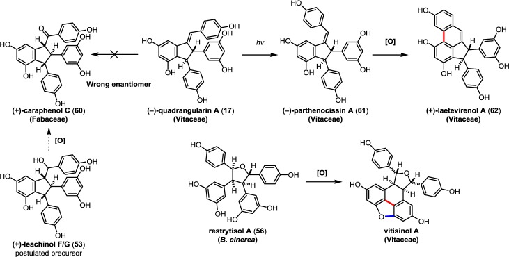 Scheme 8