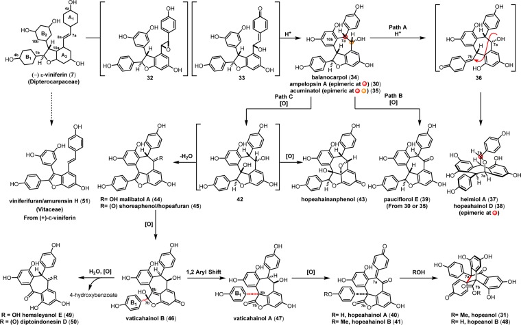 Scheme 6