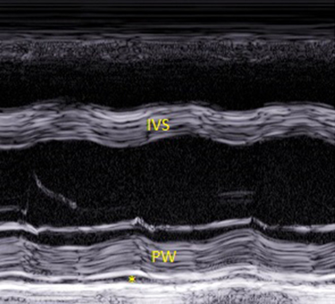 Figure 5.