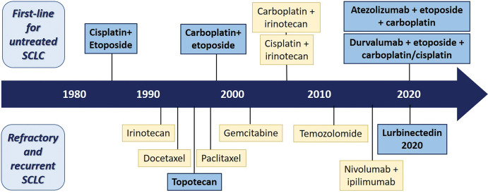 Diagram shows advances of systemic therapy approaches for small cell lung cancer (SCLC) (12). The advances of systemic treatment options for patients with SCLC during the past decades are shown with the timeline. The blue boxes represent U.S. Food and Drug Administration (FDA)–approved standard-of-care treatment, and the yellow boxes represent treatment options recommended by the National Comprehensive Cancer Network but not currently approved by the FDA. The figure illustrates the paucity of the FDA-approved therapeutic options in the past 3 decades, with new recent additions for the first-line setting and for refractory and/or recurrent disease. Both nivolumab and pembrolizumab were initially approved by the FDA in 2018 and 2019, respectively, for patients with relapsed SCLC based on several trial results showing improved response rate and progression-free survival. However, subsequent trials failed to demonstrate improved survival in the programmed cell death protein 1 (PD-1) inhibitor therapy group and the FDA withdrew the indication of use of these PD-1 inhibitors in relapsed SCLC.