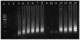 Figure 10