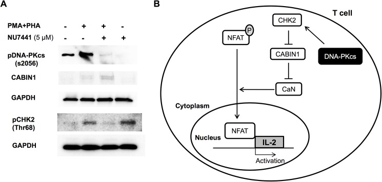 Fig 4