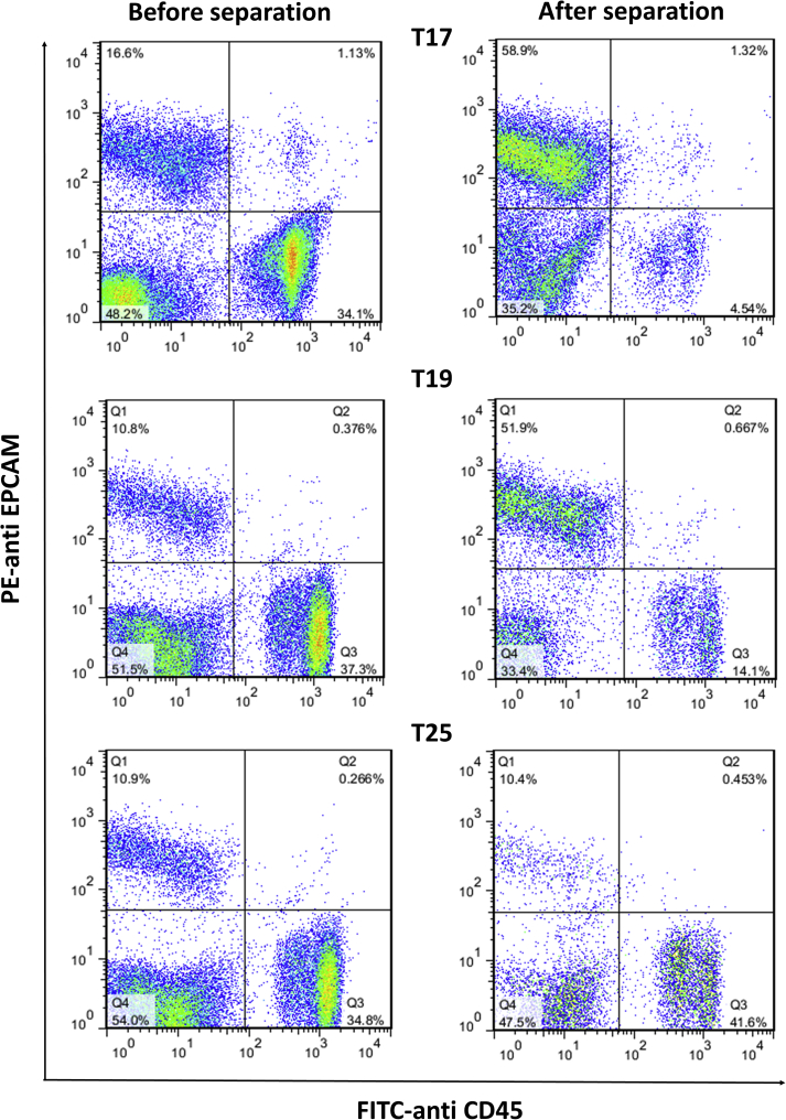 Figure 6