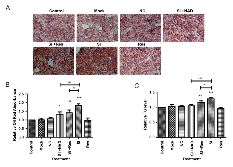 Fig.3