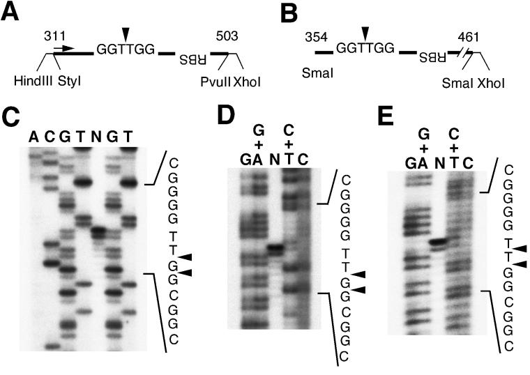 FIG. 6