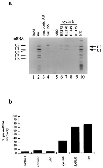 FIG. 5