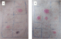 Fig. 2.