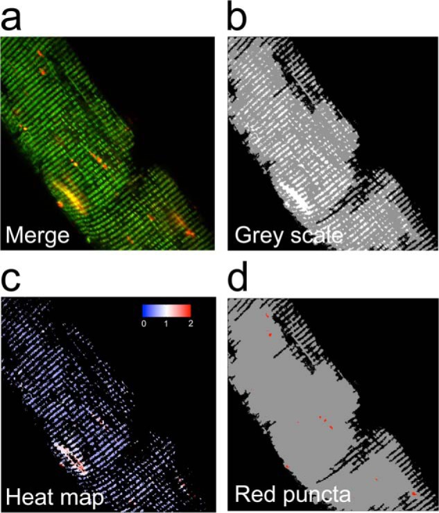 FIGURE 2.