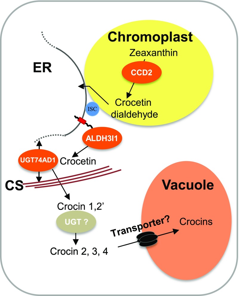 Figure 9.