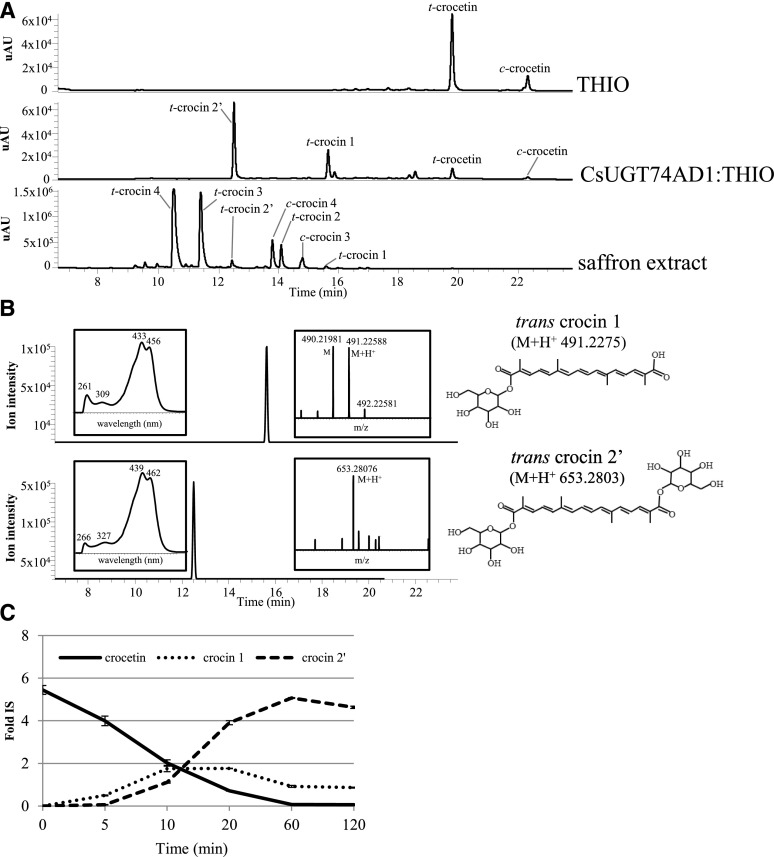 Figure 5.