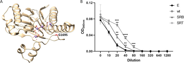 Fig 2