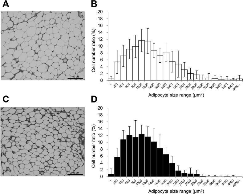 Fig. 3